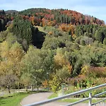 Steiert Panorama Apartamento Todtnau