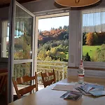 Steiert Panorama Todtnau