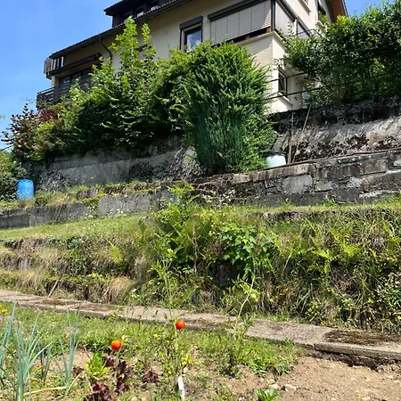 Steiert Panorama Appartement Todtnau