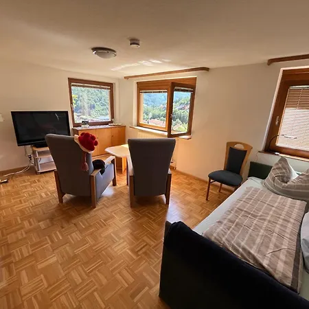 Steiert Panorama * Todtnau