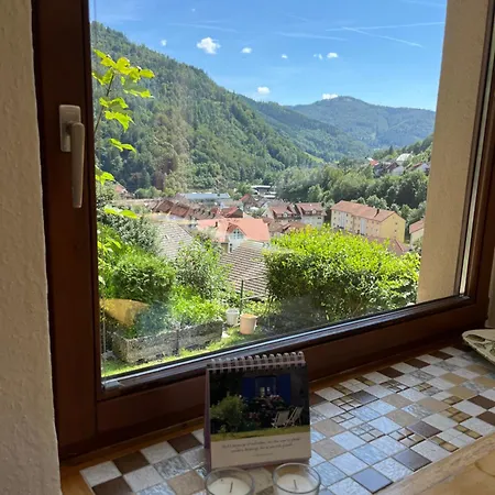 Steiert Panorama Appartement *