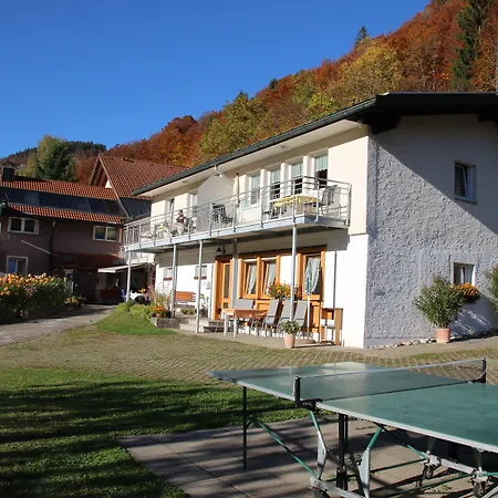 Steiert Panorama Appartement