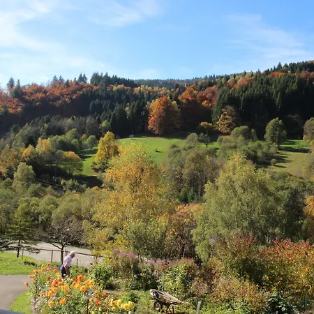 Steiert Panorama Todtnau