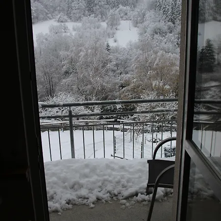 Appartement Steiert Panorama