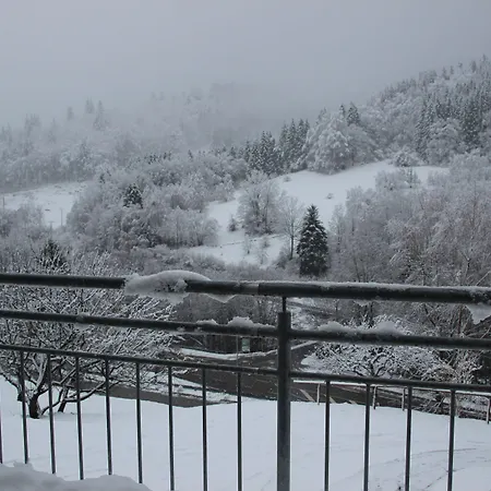 Steiert Panorama Todtnau