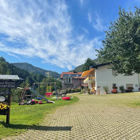 Steiert Panorama