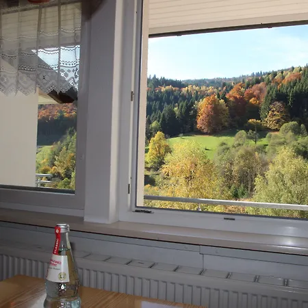 Appartamento Steiert Panorama Todtnau
