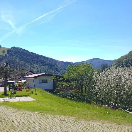 Steiert Panorama トートナウ