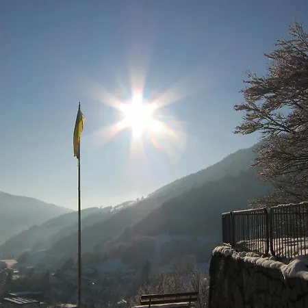 Appartement Steiert Panorama Todtnau