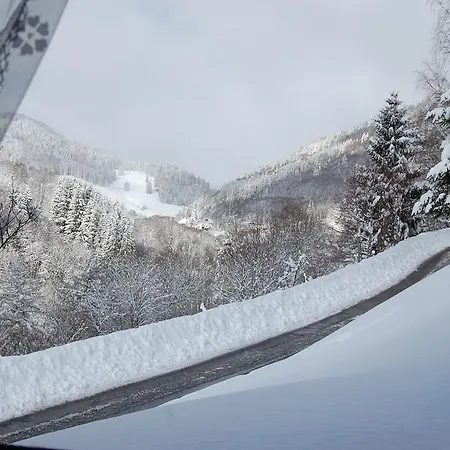 Steiert Panorama Appartement Todtnau