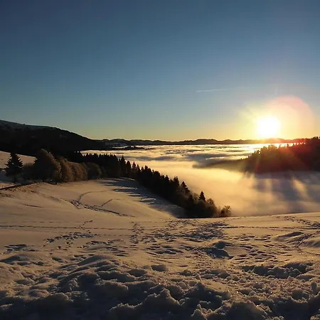 Appartement Steiert Panorama