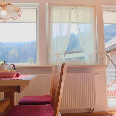 Steiert Panorama * トートナウ