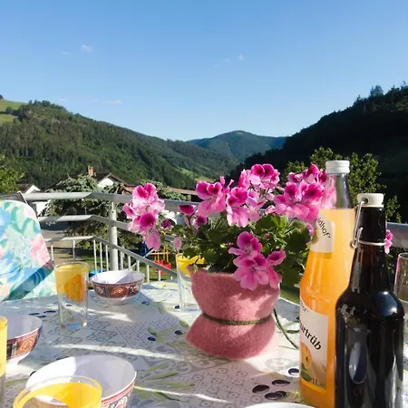 Appartement Steiert Panorama *