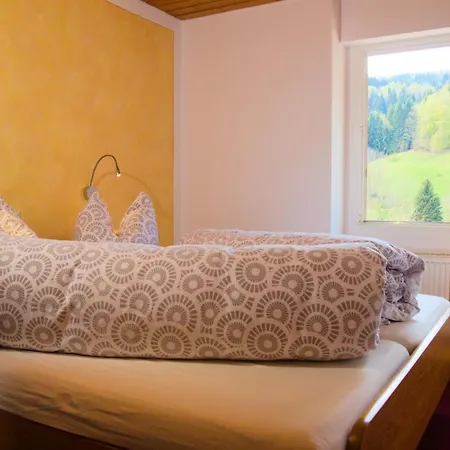 Steiert Panorama شقة